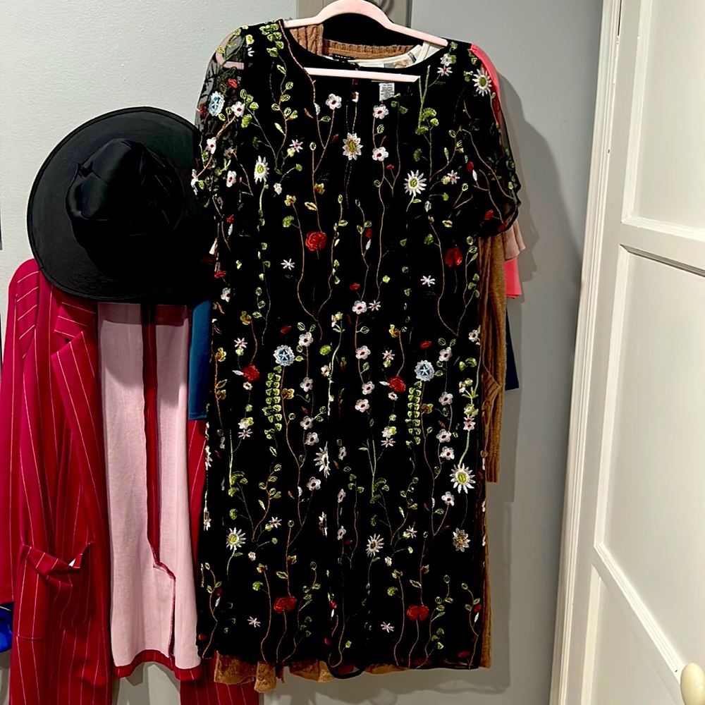 Beautiful Embroidered dress by Catherine’s
